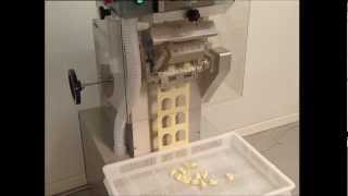 La Monferrina TortelliniRavioli Machine by pro BAKE Professional Bakery Equipment [upl. by Trix]