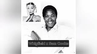 Whigfield x Sam Cooke  Another Saturday Night Mashup dj viral mashup dance [upl. by Avevoneg968]