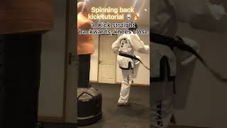 SPINNING BACK KICK TUTORIAL [upl. by Airda421]