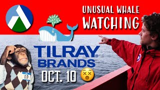 Tilray Brands Unusual Activity for October 10 After Earnings [upl. by Higbee]