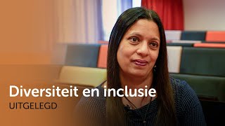 Diversiteit amp inclusie  uitgelegd [upl. by Nonnek]