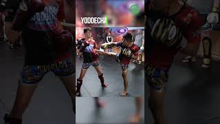 Muay Thai Training with Yoddecha Sityodtong  Countering Kick Catches whilst Fighting [upl. by Ranzini]