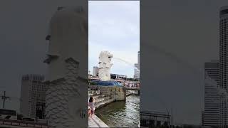 Merlion Park Singapore Singapores Best icon on Sentosa Island inspirational singapurwater [upl. by Akinohs]