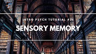 Sensory Memory Intro Psych Tutorial 71 [upl. by Olivia]