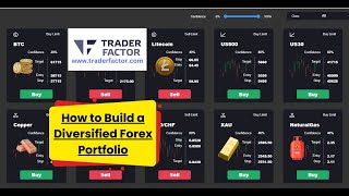 How to Build a Diversified Forex Portfolio forex portfolio [upl. by Idoux]