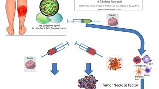 Basic concepts in immuno oncology [upl. by Ococ424]