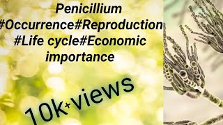 PenicilliumOccurrenceStructureReproductionLife cycle and economic importance of Penicillium [upl. by Arramas270]