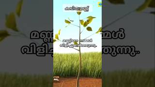 മണ്ണ്🌱 കവിത  മണ്ണ്world soil daysoil song in Malayalam with lyrics soil soilsong worldsoilday [upl. by Valentia]