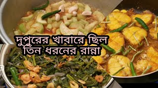 তিন ধরনের রান্না দুপুরের খাবারে  Munira Nourins Vlog [upl. by Junna747]