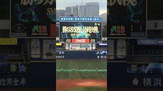 「SMBC日本シリーズ2024」第５戦 横浜スタジアムのパブリックビューイングに参加 【パブリックビューイングマニア】20241031 baseball [upl. by Gnep]