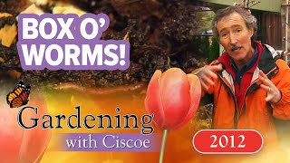 BOX O’ WORMS Tips to Make Your Own Compost  Gardening With Ciscoe  Full Episode [upl. by Ferdinana742]