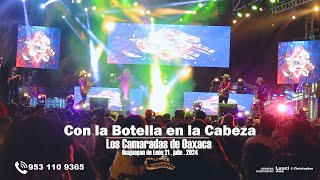 Los Camaradas de Oaxaca  Con La Botella En La Cabeza En Vivo Huajuapan 2024 [upl. by Cramer]