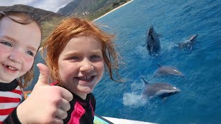 Swimming with WiLD DOLPHiNS Ocean Adventure to Snorkel with a Dolphin Pod amp Sea Turtles in Hawaii [upl. by Samuele]