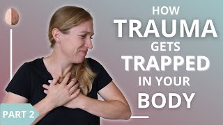 How Trauma Gets Trapped in Your Body and Nervous System 23 [upl. by Olag37]