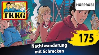 TKKG  Folge 175 Nachtwanderung mit Schrecken  Hörprobe zum Hörspiel [upl. by Sabian]