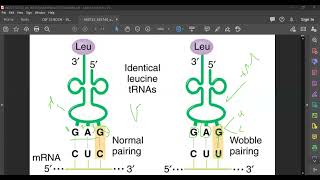 L101 The genetic code [upl. by Kutzer227]