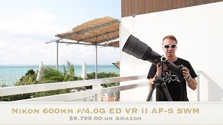 Comparing Nikon 600 f4 and 300 f28 Super tele Lenses [upl. by Elfstan]