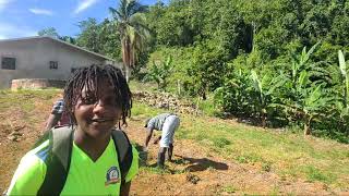 Garf Adventure JAMAICA 🇯🇲 is live On the Farm [upl. by Nosrej]