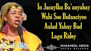 Kinsi Xaaji Aadan Heestii  Miyaan Kaaba Baydhaa  Hees Kaban Xul ah With Lyrics [upl. by Daniele]