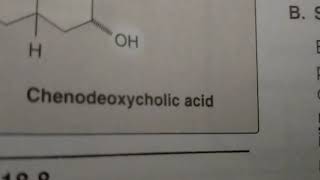 chenodeoxycholic acid pronunciationbile acidlipds [upl. by Aicats]