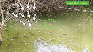 Fisher Man Catching in Deep pondstriple Hook Fishing amazing fishing video black Rohufishes [upl. by Yldarb782]