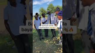 MSARO GWIJOBASHAYELE IZANDLA BAYATHANDA gwijosongs southafrica viral subscribe DANKO [upl. by Pinzler]