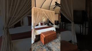 යමුද සුන්දර නිවාඩුවක් ගත කරන්න යාලට🍃🌞😱 wild Coast Tented Lodge Yala yalavideo travelvlog [upl. by Jahdol]