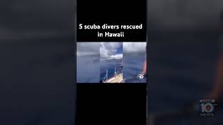 5 scuba divers rescued in hawaii [upl. by Soirtemed]