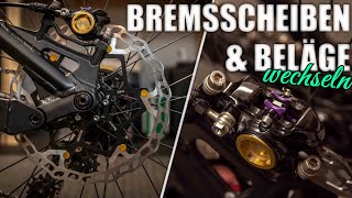 Bremsscheiben und Beläge austauschenwechseln [upl. by Aitram]