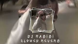 DJ HABIBI VIRAL TIK TOK Slowed reverb [upl. by Dublin]