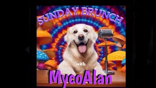 Sunday Brunch with MycoAlan [upl. by Ahseele8]