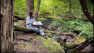 I Am Held  Amy Naylor  Handpan Mantra [upl. by Steffane]