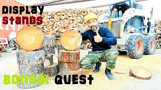 Bonsai Quest Episode 3  Creating Wooden Bonsai Display Stands From Pine Tree [upl. by Hett608]