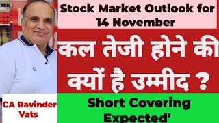 Stock Market Crash  Positive Outlook for Tomorrow14 November 24 by CA Ravinder Vats [upl. by Nilhtac]