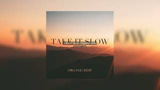 Michael Lane  Take It Slow Organic Edit Official Audio [upl. by Saddler]