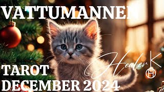 Vattumannen ♒️ December 2024 Tarot  Healer K [upl. by Sirap550]