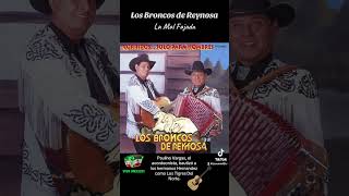 Los Broncos De Reynosa La Mal Fajada [upl. by Demahum399]