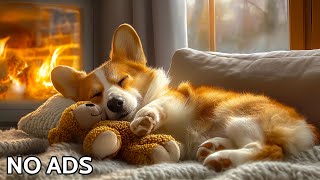 12 HOURS Relaxing Piano Calming Music for Dogs🐶Deep Separation Anxiety Music for Dog Relaxation [upl. by Olivie]