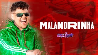 MALANDRINHA  ROGERINHO MC TUTO  DNA Visualizer Oficial [upl. by Eigriv]