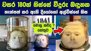 වසර 180 ක කාලයක් තිස්සේ වීදුරු බඳුනක තැන්පත් කර ඇති දියෝගෝ අල්විස්ගේ හිස [upl. by Airekal]