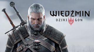 Wiedźmin 3 Dziki Gon 86 Rynsztunek szkoły kota [upl. by Ailen108]