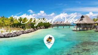 Calvin Harris  Summer Tropical Remix 2016 ♫ Tropical Vibe [upl. by Miun]