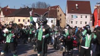 Narrentreffen Rottenburg 2013 [upl. by Varion898]