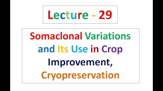 Lecture  29 Biotechnology [upl. by Nodearb]