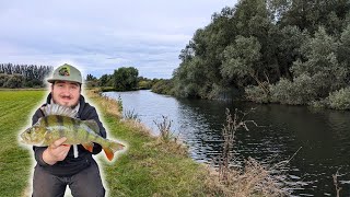 Fishing a Big River for BIG Perch [upl. by Garvy]