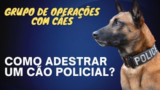 Como adestrar um cachorro policial Rotina de treinamento dos cães gcm cachorro [upl. by Ahsilyt490]