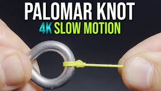 How to Tie a PALOMAR KNOT  quotKnot Easyquot Series  Fishing Knot Tutorial [upl. by Alli]