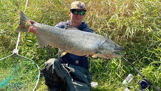 Float fishing for EARLY King Salmon Using Beads and Skein Fall 2024 [upl. by Remus]