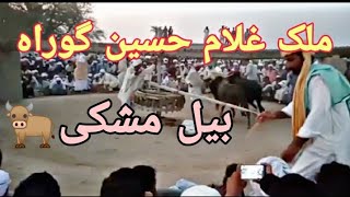 میلہ ملک سناؤ سناواں بیل مشکی ملک غلام حسین گوراہforyou foryoutrending viralvideo 1millionviews [upl. by Yanel]