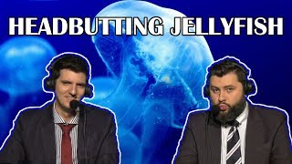 Tasteless and Artosis  Headbutting Jellyfish [upl. by Nauqyt294]